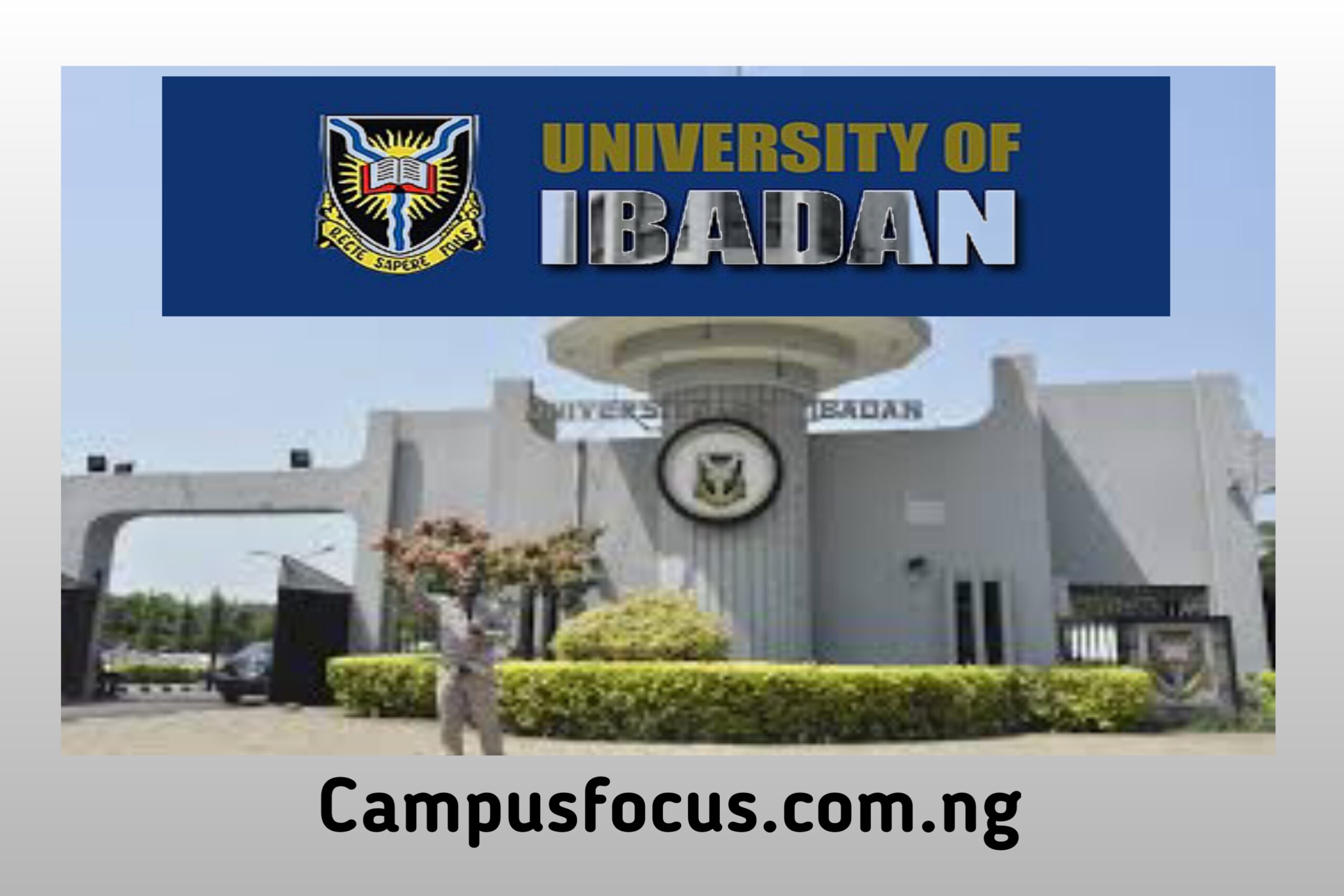 University of Ibadan Cut Off Mark for All Courses 2024/2025 - Campus Focus